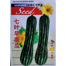 七叶早南瓜种子特早熟南瓜种子香甜糯花皮老南瓜种子高产倭瓜种籽 【七叶早南瓜】10代