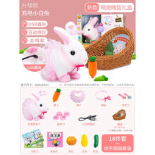 电动小兔子 小白兔毛绒玩具仿真电动玩偶动物会走叫的小兔子女孩新年礼物儿童 充电唱歌小白兔【睡篮过家家+手提礼盒】合计18件套 【新品>能充电会唱歌】插线直充+唱歌+触摸感