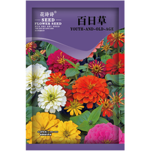 花诗诗 花卉种子百日草四季种易活花种子百日菊耐热花籽室外庭院阳台盆栽花海花草种子耐旱家庭园艺种籽 高杆型 百日草种子 混色装 10克约500粒装 厂商封装