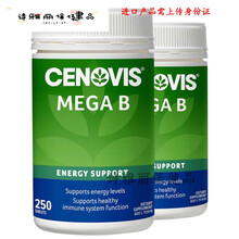 益天健益天健Cenovis维生素B族250片复合VB维他命b6B122瓶装 (Cenovis维生素B族250片)*2