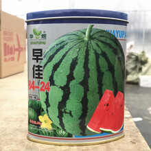 纳格兰水果蔬菜种子 8424麒麟西瓜种子 阳台庭院盆栽田园种植红壤西瓜籽 早佳8424罐装【50克】