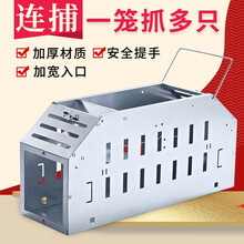 科诱抓老鼠笼一窝端家用老鼠夹子高效连续消灭室内扑灭捉捕鼠神器克星 【全新升级】+鼠灭套餐【透视单门笼】