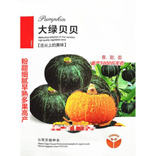 山西太谷艺园大绿贝贝南瓜种子面甜细腻早熟高产农家春秋播种精选 太谷艺园大绿贝贝原装5克x5袋