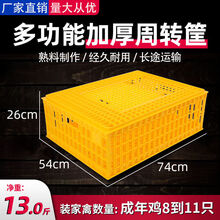 鸡笼周转箱 大号加厚家禽鸡鸭养殖运输周转筐周转箱成鸡鸭鹅兔笼 13斤加厚加重  鸡笼