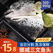洲渚家乡味 冷冻三文鱼头 鱼排 鱼骨 边角料 三文鱼头【500克以上】