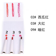 防水唇线笔白色黑色彩色旋转唇线笔不晕染欧美色系全套装10种颜色 西瓜红#02+大红#03+暗红#09