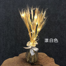 麦穗干花 开业大麦 彩色小麦花束 套装 INS粉色干花永生花束 漂白色套装