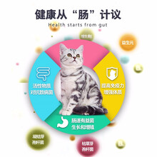 卫仕多瓶咿多维复合维生素牛磺酸赖氨酸微量元素力肠猫益生菌 猫力肠200片*3瓶