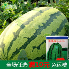 景丰少籽特甜花皮水果西瓜种子高产 早熟特大型景龙宝 四季易种植 景丰景龙宝特大超早型60克原装