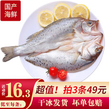 【3条49】速鲜 三去开背国产白蕉海鲈鱼350-400g*1条新鲜活冻生鲜鱼类海鲜去鳃去鳞去内脏净鱼