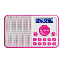 熊猫（PANDA）DS-172迷你音响插卡小音箱便携FM收音机老人袖珍mp3播放器播放机  红色