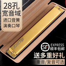 德国进口音簧28孔重音口琴C调初学者复音AFG调成人演奏级 银色重音C调+全套