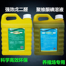 澳瑞特消毒液消毒剂消毒水猪牛羊圈鸡鸭鹅舍戊二醛狗兔鸽舍水产 +戊二醛