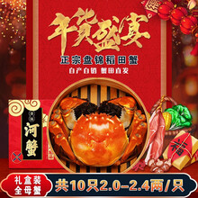 【盘锦馆】盘家人 中秋盘锦河蟹稻田蟹  鲜活海鲜水产 大闸蟹特大全母盘锦河蟹礼盒装顺丰空运直达冷链 2.0-2.4 全母蟹10只