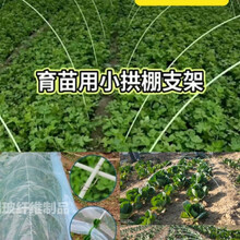 其六菜棚保温棚玻璃钢纤维杆大小拱棚支架育苗花棚骨架农用实心弹力棒 5毫米1.5米长30根