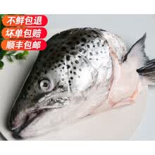三文鱼头智利三文鱼头新鲜冰鲜现切鱼头单个1.3-1.8斤鲜美炖汤煲汤食材