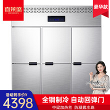 喜莱盛（Xenesen）四门冰柜六门冰箱商用冷藏冷冻保鲜柜展示柜双温立式冷柜不锈钢大容量冰箱 六门冷冻冰柜（全冷冻）
