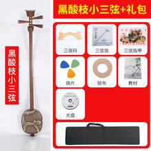 红木三弦乐器鸡翅酸枝黑檀大三弦紫檀专业评弹中三弦小三弦琴 酸枝木小三弦(剧团推荐)