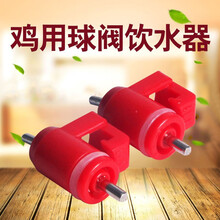 肉鸡蛋鸡专用饮水嘴 卡式饮水器乳头饮水器 钢球饮水器 360度出水 粗钉100个