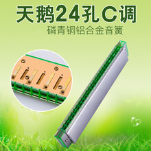 天鹅牌口琴儿童初学入门学生用24孔C调单音口琴老师推荐乐器 绿色(塑料琴格)24孔原配【加购收藏刻字】