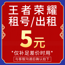 海盗猫 补款链接 （王者荣耀账号 租号 出租 专用） 5元