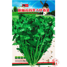 花友秀 蔬菜种子香菜种子葱韭菜黄瓜种子辣椒菠菜萝卜生菜茼蒿芹菜油麦菜茄子胡萝卜丝瓜种子易种 家庭种植 四季大叶香菜种子原装一包