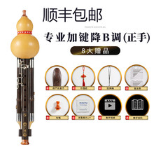 新艺 超九孔加键葫芦丝演奏型C调降B调GF调紫竹9孔宽音域乐器 加键降B调(正手)