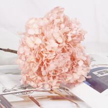 多色绣球干花花束简约植物干花小清新装饰办公客厅卧室个性时尚摆件 粉色 单支（不含花瓶）