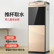 饮水机家用立式冷热迷你小型台式宿舍办公室节能冰温热制冷开水机 黑金色 温热