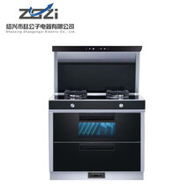 赵公子--Z-02--赵公子高端厨房电器