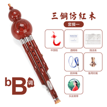 葫芦丝乐器初学者小学生儿童演奏型防摔胡芦丝吹奏乐器 【三铜加固款】仿红木降B调套餐一