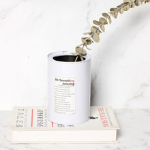 铁皮花瓶马口铁文艺ins北欧风网红铁罐家居装饰干花多肉花盆铁罐 白色铁罐