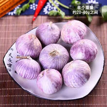 [现挖湿蒜]2021年云南新鲜独头大蒜大理紫皮湿蒜大蒜现挖现发 新鲜独头蒜【中果25-30mm】 2斤净重【精选】
