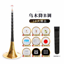 新艺乐器 乌木唢呐 演奏专业黑檀木唢呐乐器全套 初学者入门大小号喇叭 乌木降B调黄碗+十大赠品