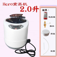 多功能Hero熏蒸机SPA4薰蒸仪蒸脚泡脚蒸气锅蒸汽家用发汗汉蒸器桶家用 2.0升Hero熏蒸机1000W