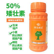 裕之轩 国光50%矮壮素果树控梢植物花卉生长调节剂矮化控旺包邮100ml农药 100ml