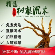 水草杜鹃根沉木莫斯树鱼缸草缸造景鱼缸装饰造景沉木鱼缸造景 16-20cm泡水随机2个