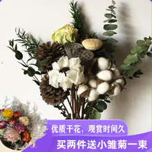 棠溪塘 干花松果 棉花尤加利叶干花北欧风ins小清新家居装饰摆件壁挂花束 松果+棉花+尤加利叶花束