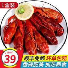 尚致 麻辣小龙虾 盒装700g20-26只4-6钱 加热即食 净虾500g 生鲜虾类海鲜 小龙虾 虾 700g*1盒