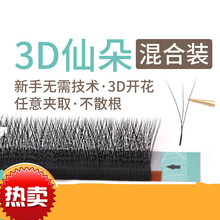 嫁接睫毛三叶草混装3D一秒开花山茶花超软水貂毛自然浓密眼睫毛