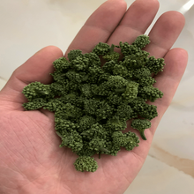 2019年新花三七花云南文山特级500g罐装非野生田七花茶的功效 20年4年特级250克(罐装)