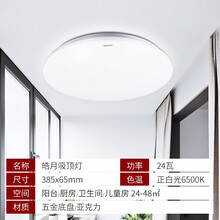 正泰（CHNT）照明吸顶灯节能LED吸顶灯 阳台走廊天花板圆形吸顶灯 18W圆形6500K正白光