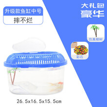 塑料鱼缸透明小型鱼盒家用小金鱼缸手提带盖防摔桌面儿童客厅养鱼 中号带盖鱼缸(彩石 椰树造景)