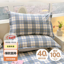 艾薇（AVIVI）枕头套枕套一对纯棉家用全棉单人枕套枕芯套 朗阁 48*74cm