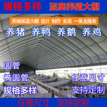 钢管全套鸡舍保温养猪养鸡场鸡棚鸭牛猪温室大棚户外 6米宽20米长含膜