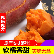 红薯湛江地瓜新鲜农家西瓜红蜜薯糖心沙地红心红薯 9斤 大果