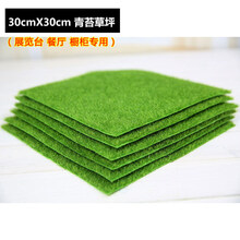 月娥阳台仿真草坪青苔藓装饰室内超市地毯水果垫子塑料假草皮植物墙面 30X30厘米