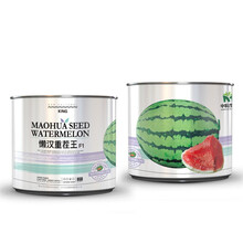中科茂华懒汉重茬王西瓜种子大果型免整枝大红瓤超甜多汁抗病抗裂耐运输50克