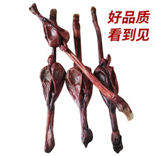 鹿鞭干整枝吉林梅花干鹿鞭鲜鹿鞭整根鹿鞭酒泡酒料男性鹿鞭片 一根