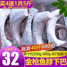 渔人百味金枪鱼新鲜金枪生鲜鱼整条16-100斤金枪鱼头鱼脖子下巴鱼眼南方蓝旗大目刺身海鲜冷冻黄旗 中号金枪鱼下巴500g